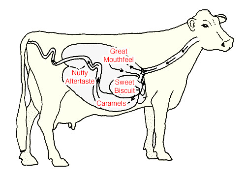 How the coffee gets its unmistakable flavour and texture through the digestion process