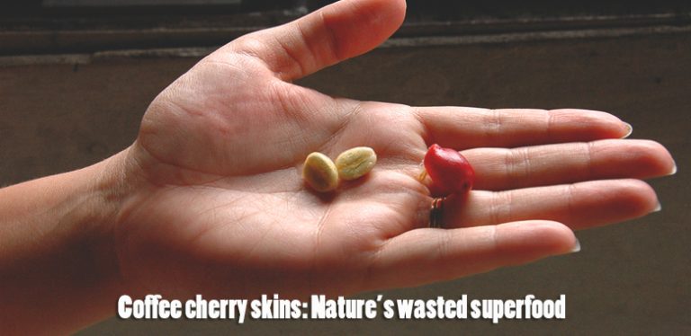 Coffee cherry skins: Nature's wasted superfood